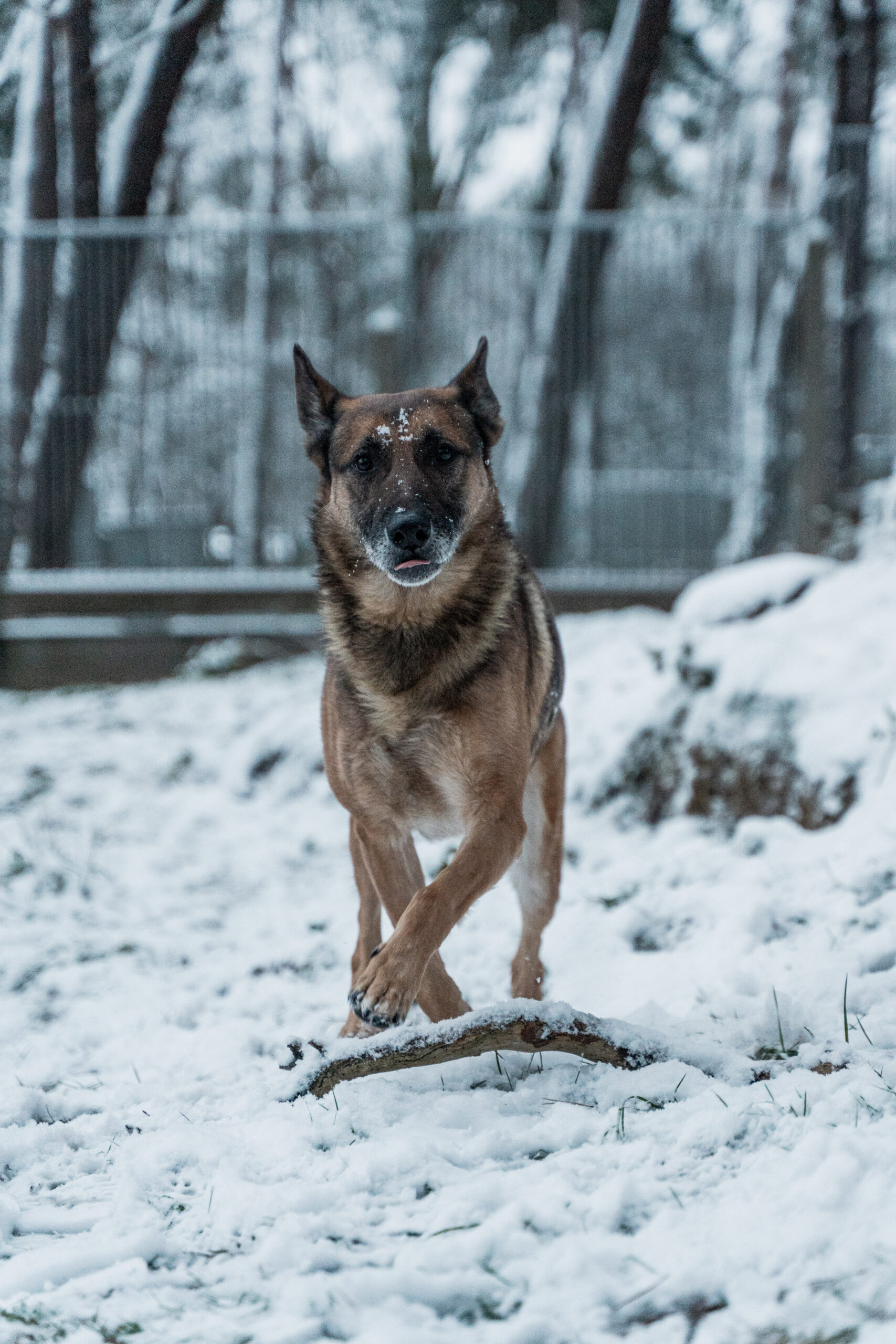 ASIELGENK_EVIOCLICK-171