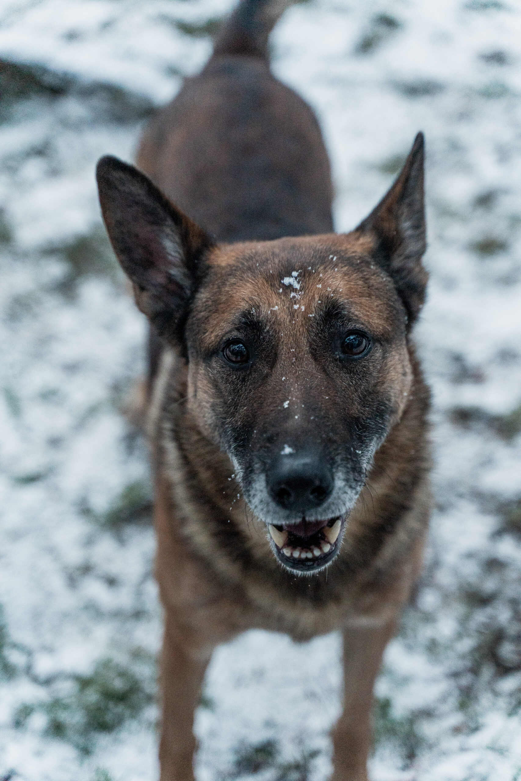ASIELGENK_EVIOCLICK-173